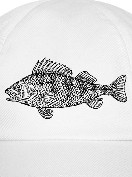 fish388