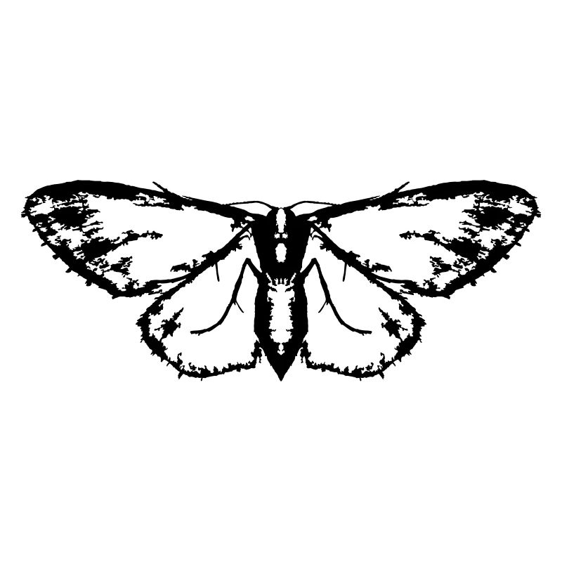Papillon / Papillon / Papillon