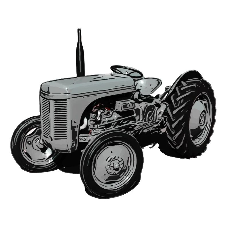 Alter Fergie TE20 Traktor