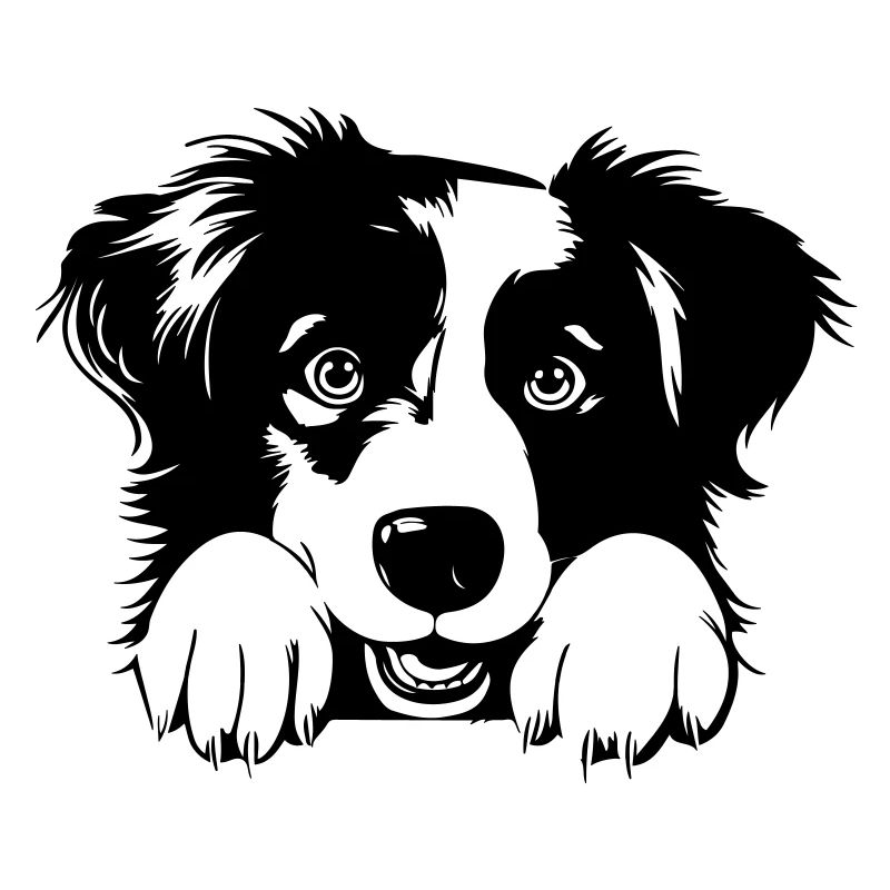 Süßer Australian Shepherd