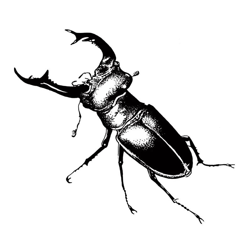 Hirschkäfer