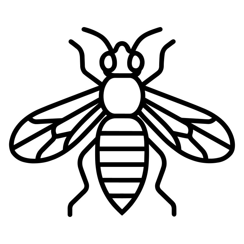 wasp