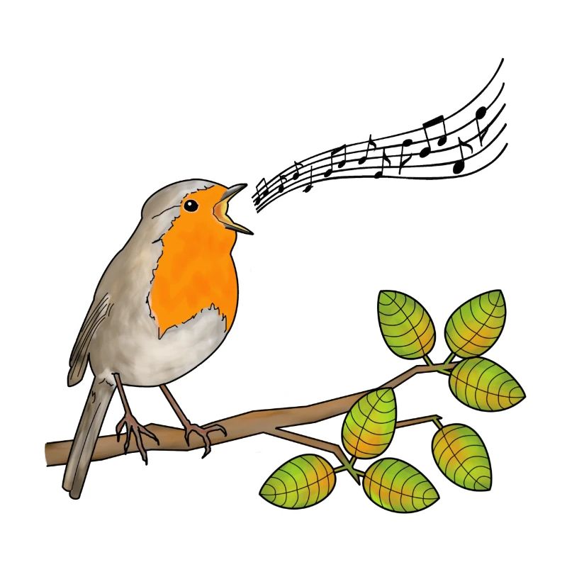 Robin chantant, notes de musique