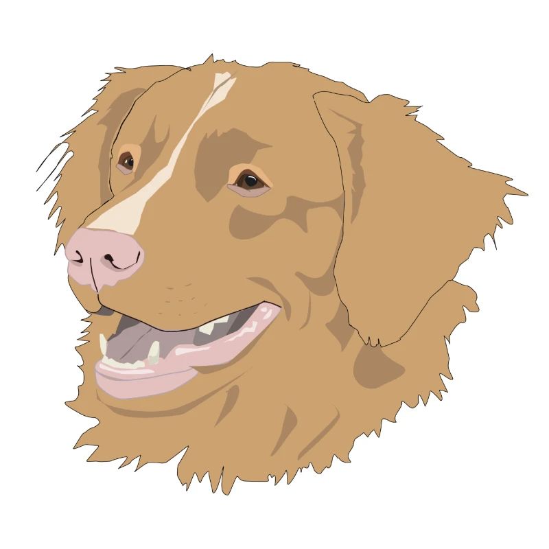 Retriever à péage de canard de la Nouvelle-Écosse