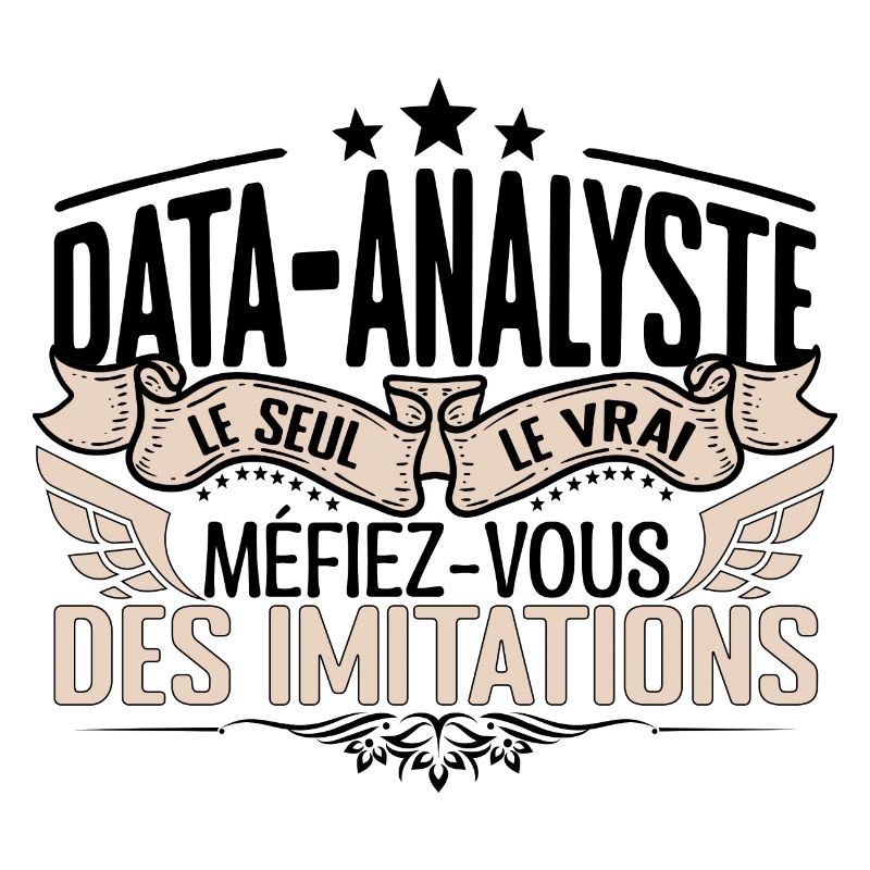 Data Analyste cadeau Data Analyste le vrai Data An