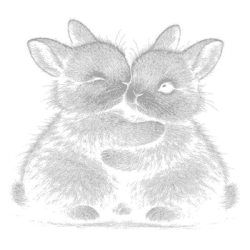 Lapin pygmée
