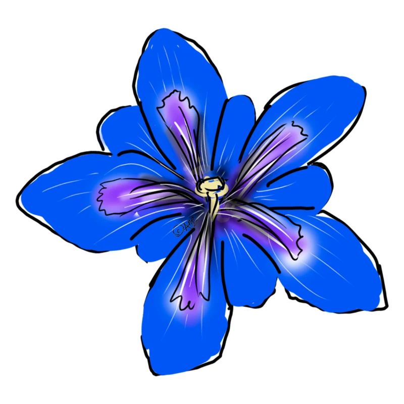 Enzian, Blume
