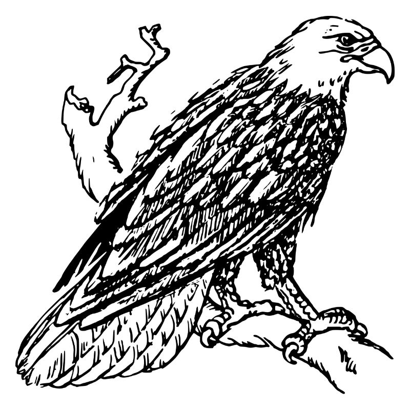 eagle190
