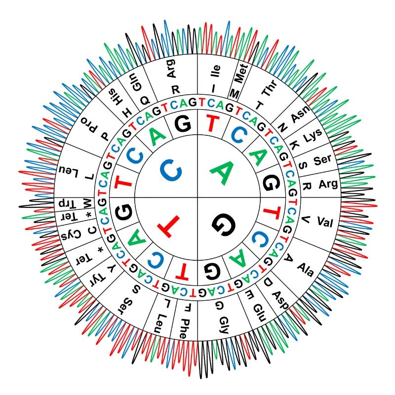 Sanger Codon Circle