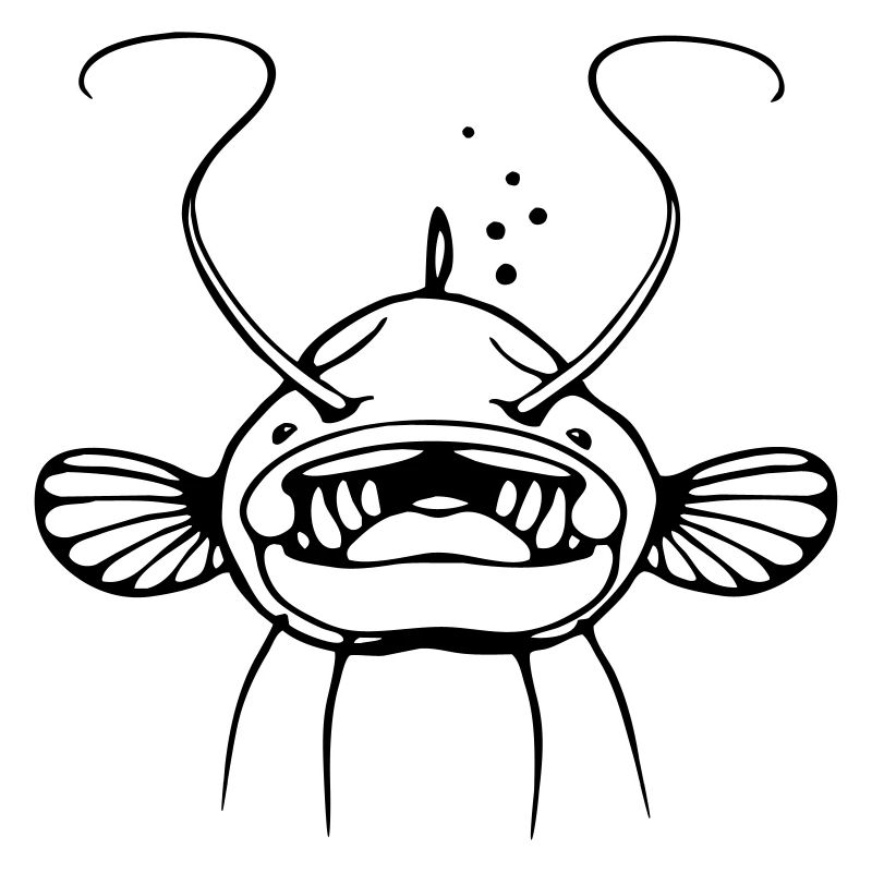 catfish