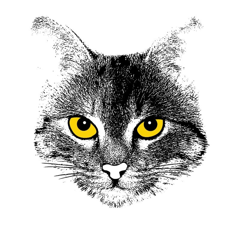 Katzengesicht