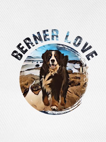 Berner Berghund