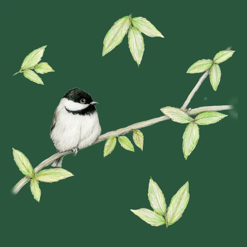 Eine Bleistiftzeichnung eines Mattenkopfes oder Glosskopfes