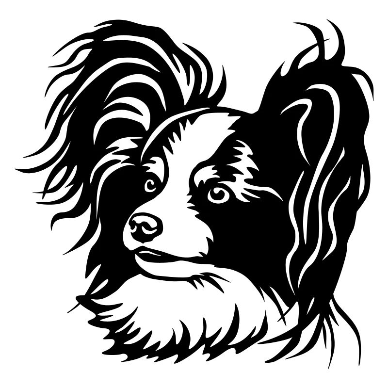 Papillon Head