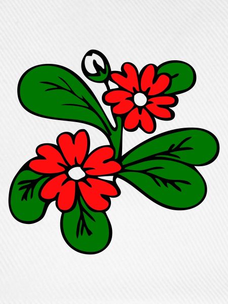  Blüten Fantasie
