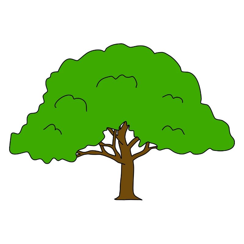 Baum