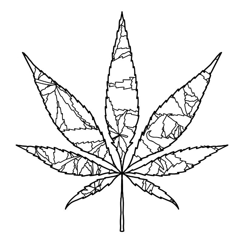cannabis leaf