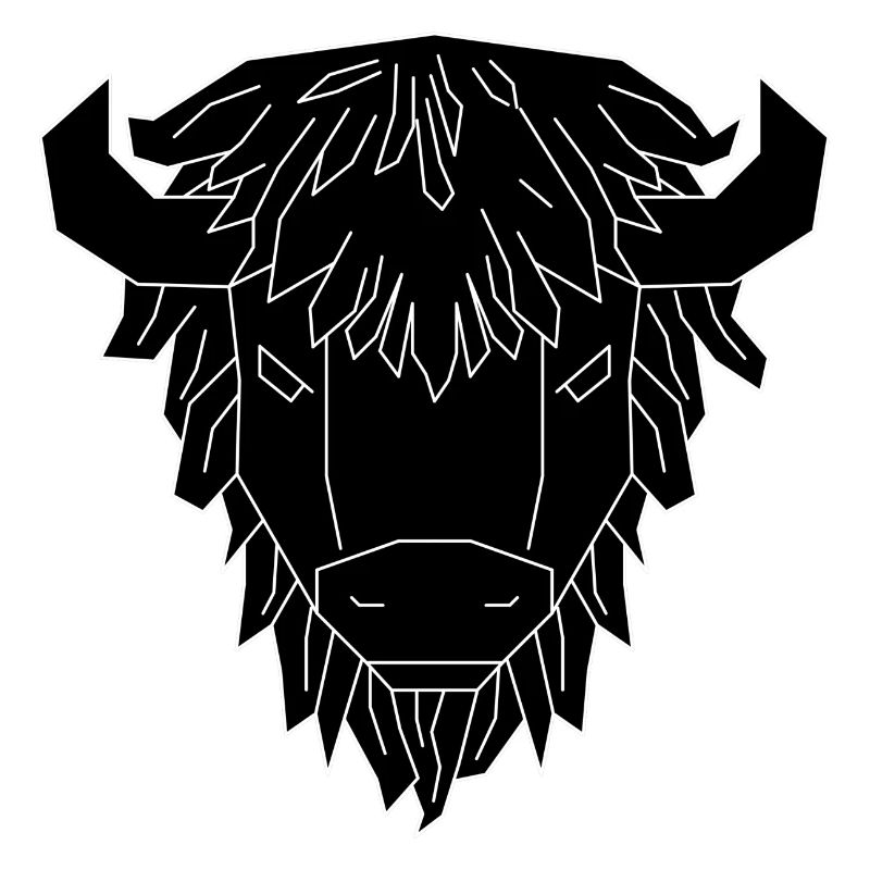 Bison