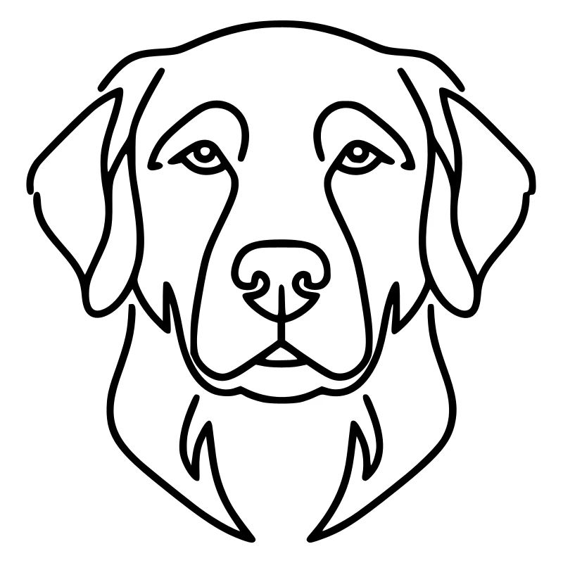 Labrador Head Dog Portrait Vector