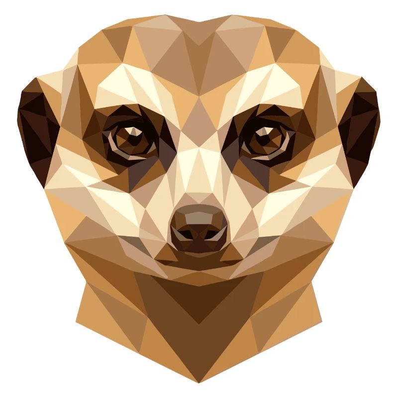 Suricate Suricate Douce Mangouste Suricate