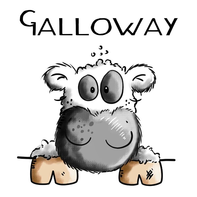 Galloway Cow - Cows - Cattle - Gift