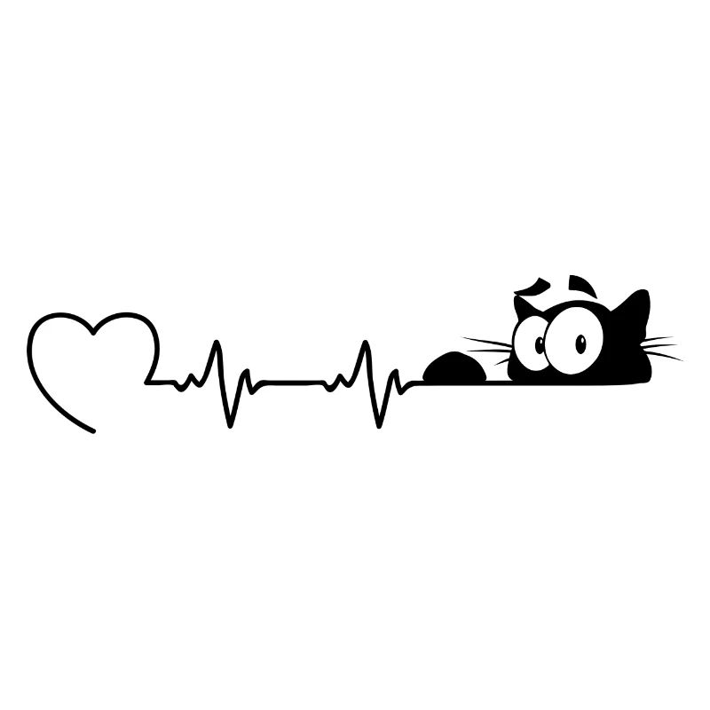 Chat chat ECG Maïou chat chat chat