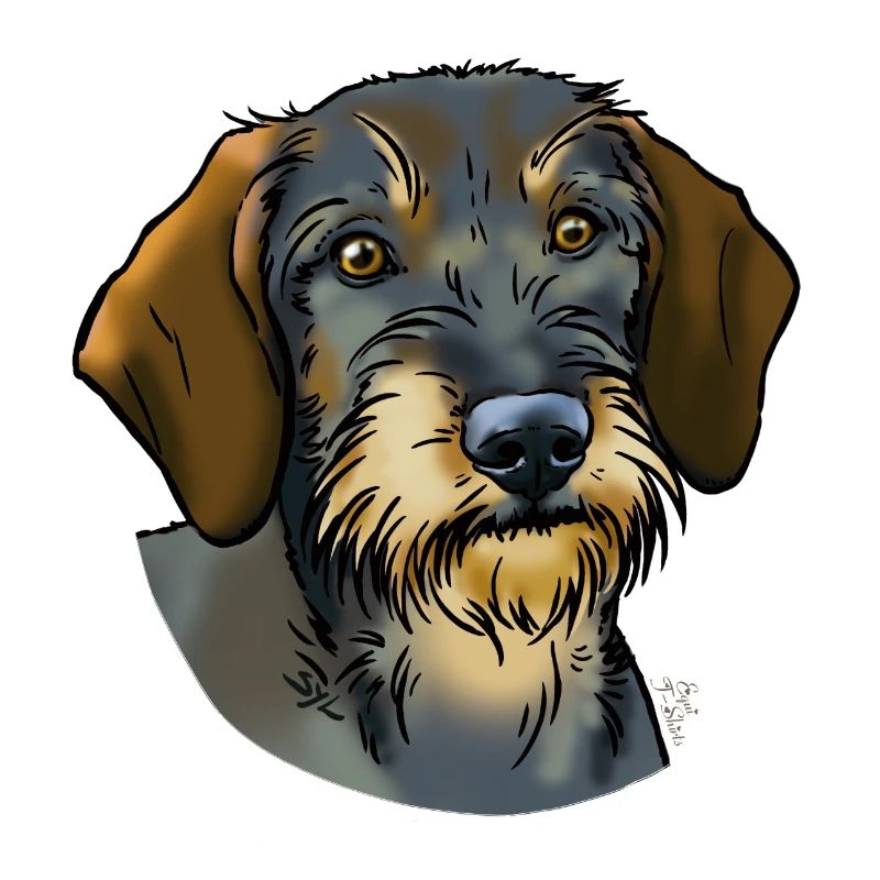 Wirehaired dachshund (without text) light textiles