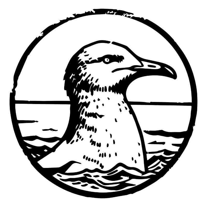 Möwe