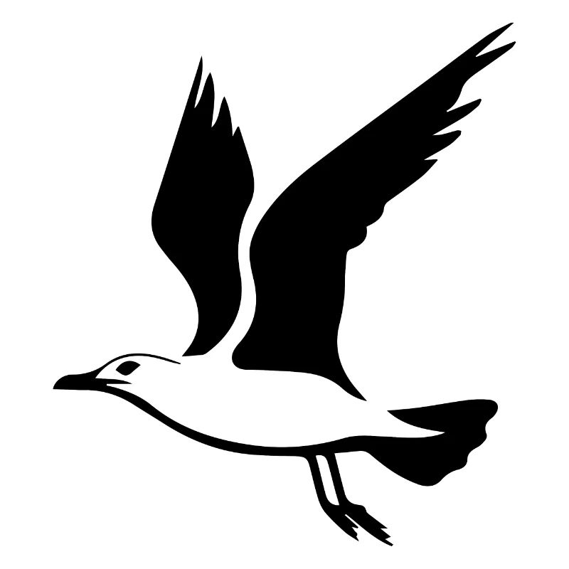 Möwe