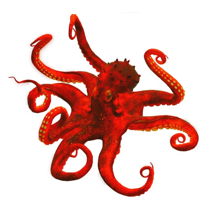 Krake