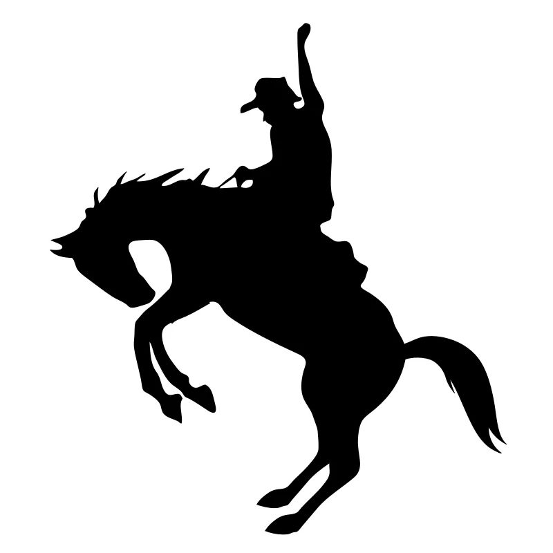 Rodeo de