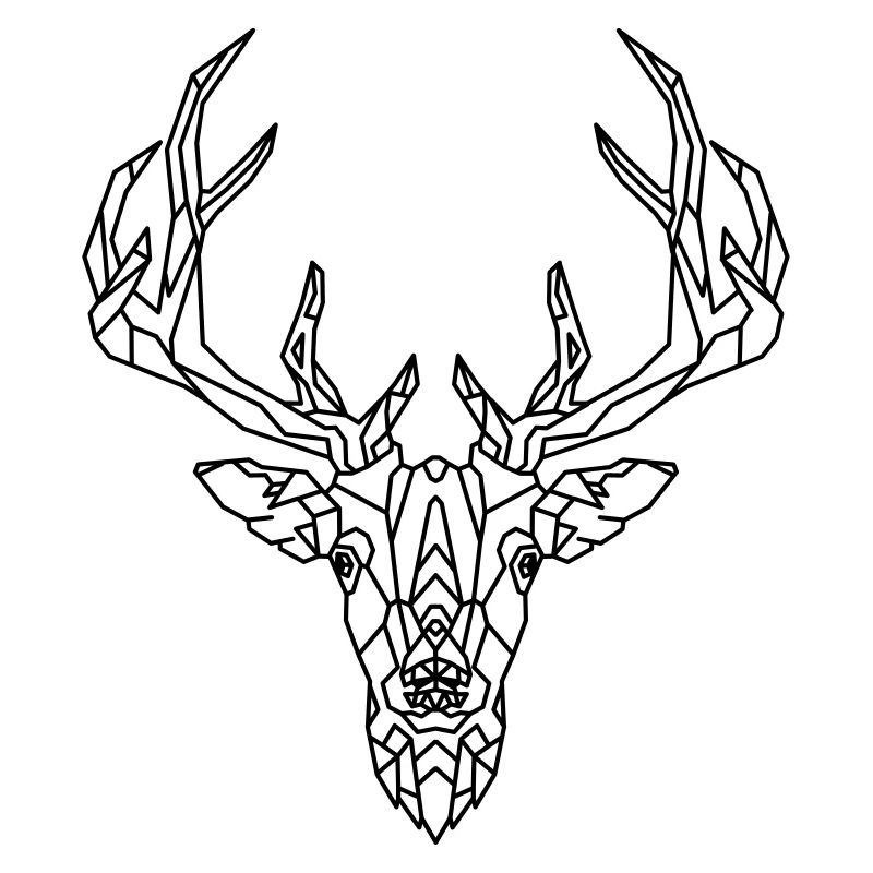 Hirsch geometric