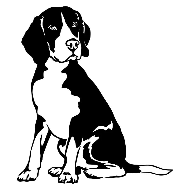 Beagle