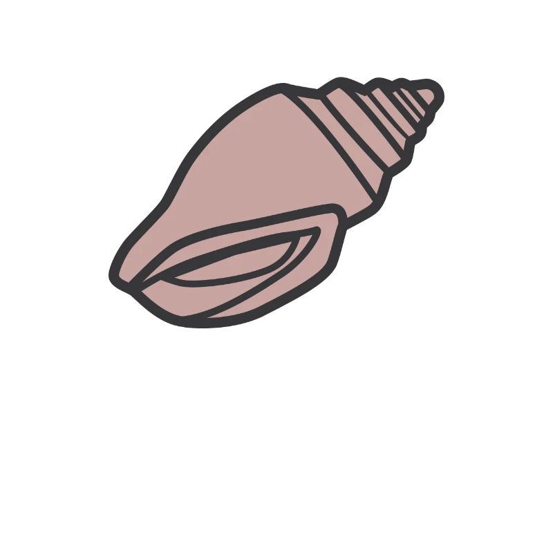 shell