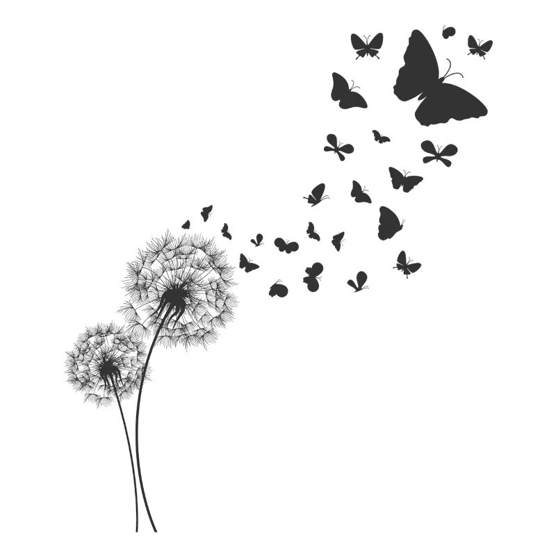 Papillon Papillon Pusteblume Dandelion