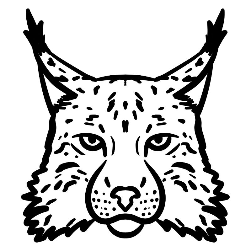 Luchs schwarz