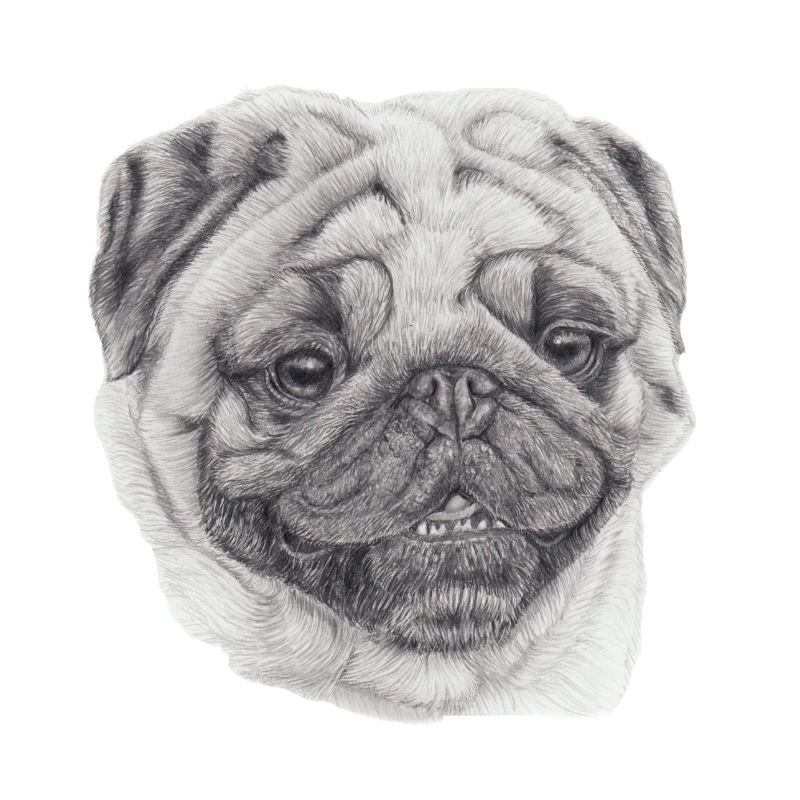 Mops Mops 2