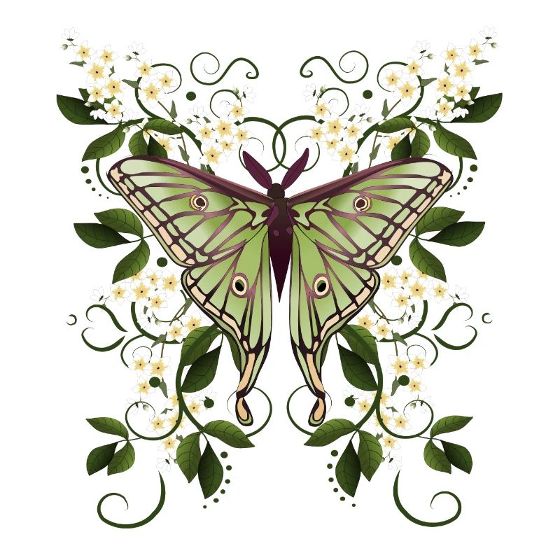 papillon papillon papillon papillon