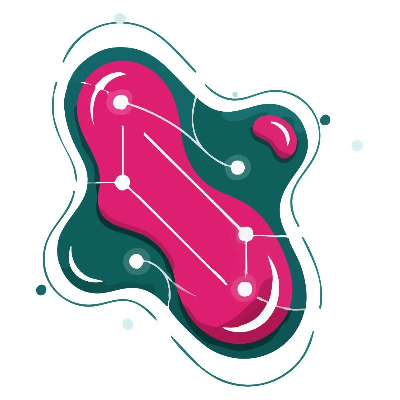 Constellation Rose Éclatante