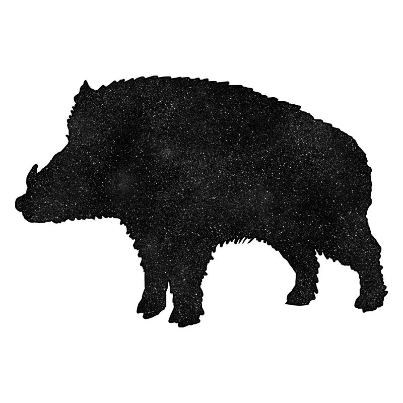 Wildschwein