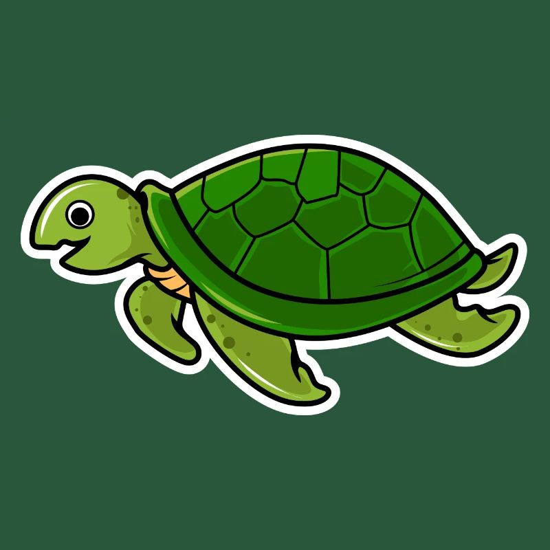 turtle