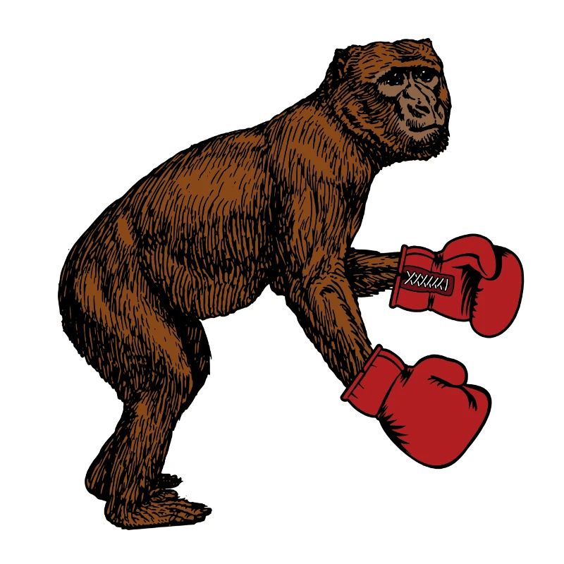 Boxing monkey boxing gloves gift boxes gorilla