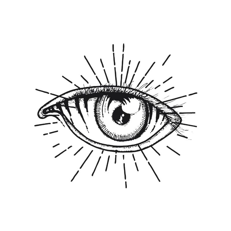 Auge