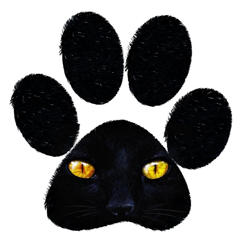 Patte de chat