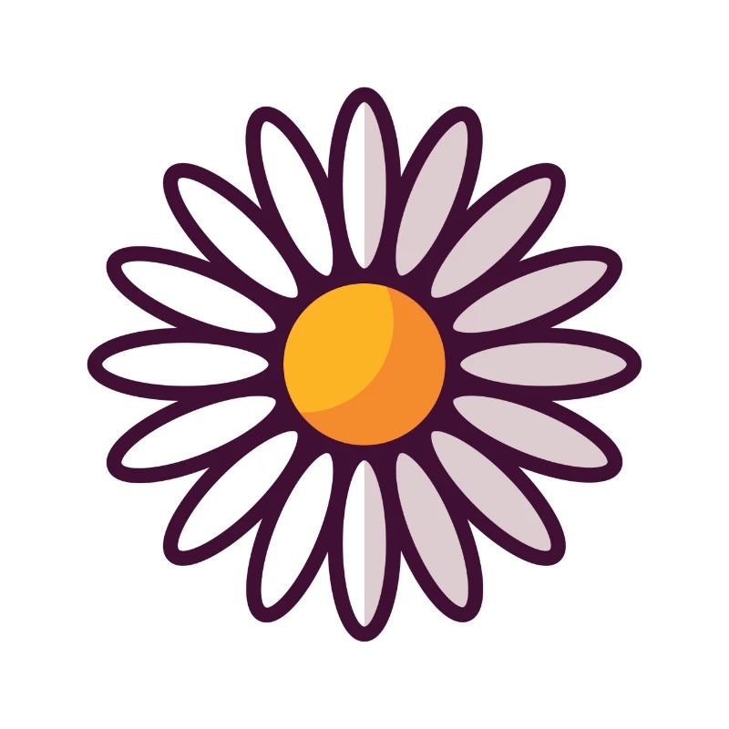 Gänseblümchen