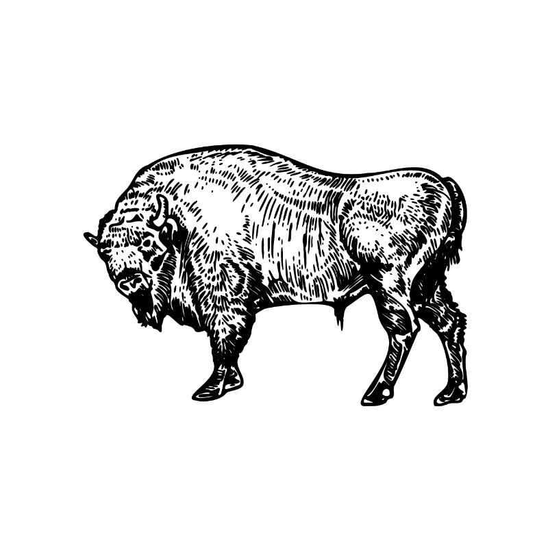 Büffel