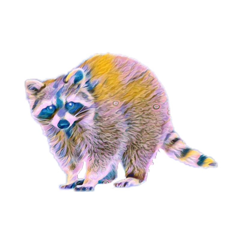 Waschbär