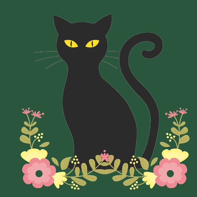 Schwarze katze