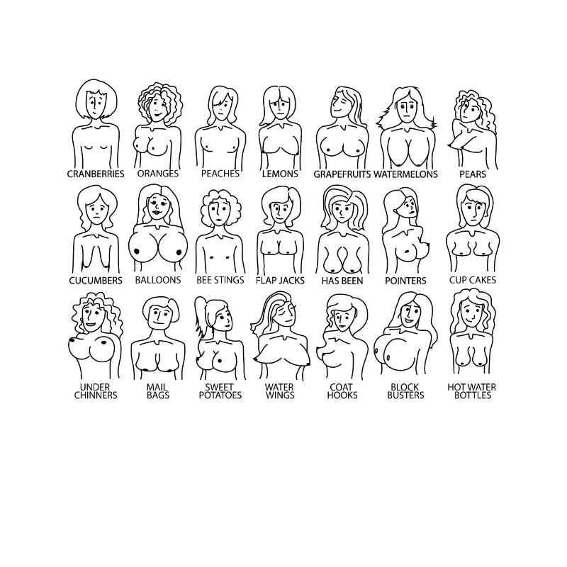 Breasts breasts breast forms breast types