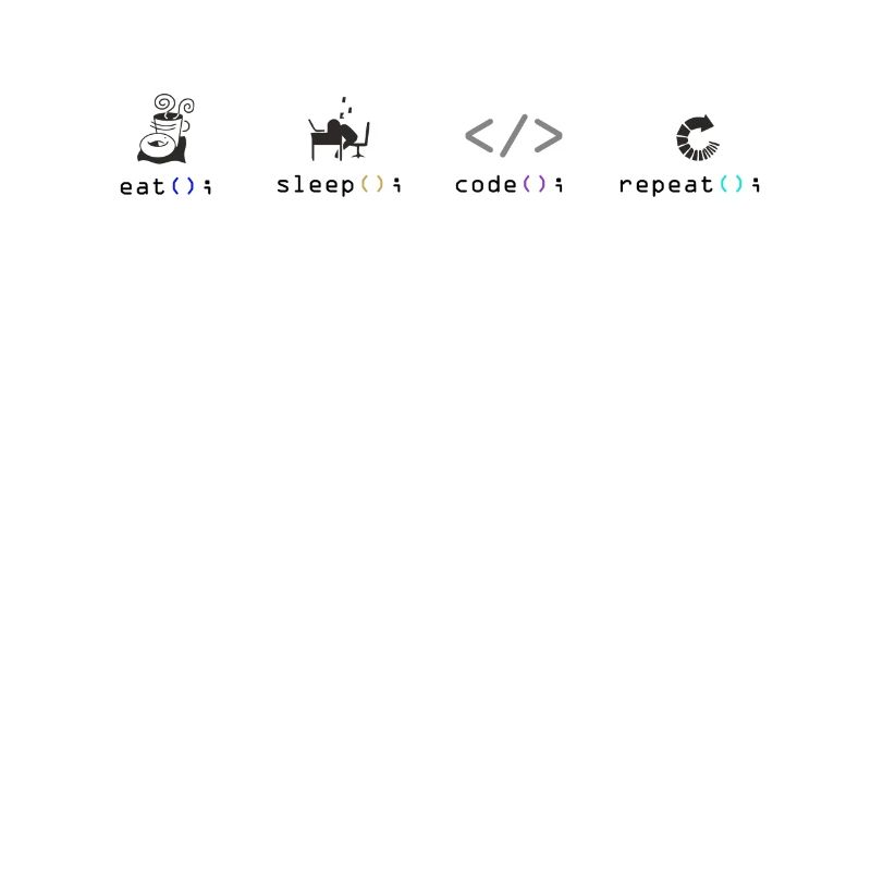 programmeur